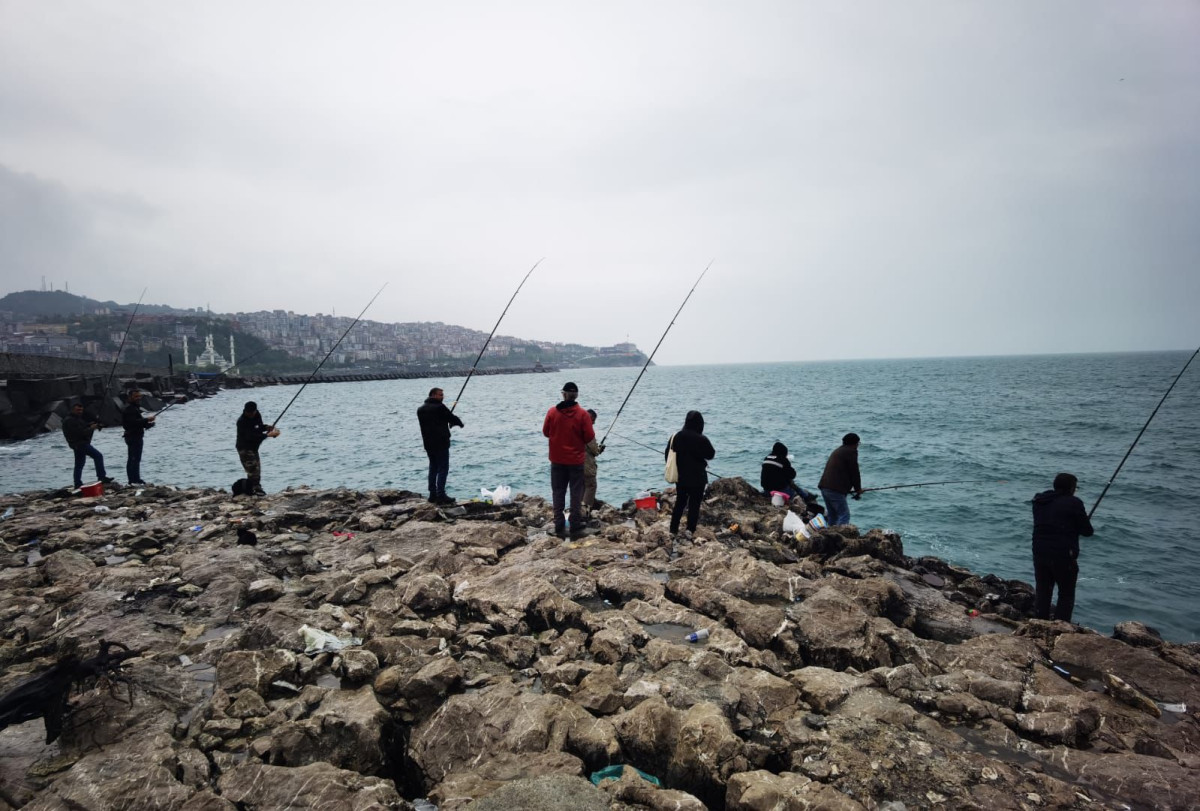 Zonguldak'ta Yağmurdan Sonra Balık Bolluğu!