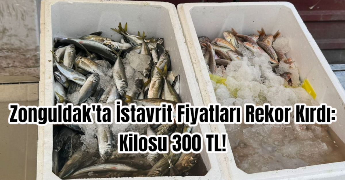 Zonguldak'ta İstavrit Fiyatları Rekor Kırdı: Kilosu 300 TL!