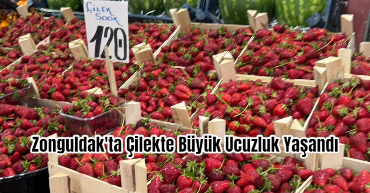 Zonguldak'ta Çilekte Büyük Ucuzluk Yaşandı
