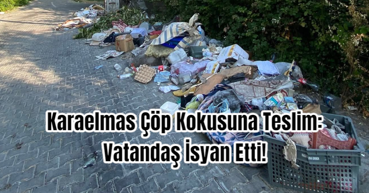 Karaelmas Çöp Kokusuna Teslim: Vatandaş İsyan Etti!