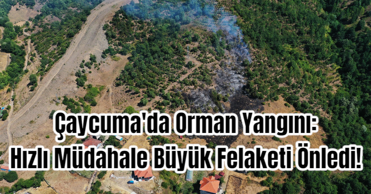 Çaycuma'da Orman Yangını: Hızlı Müdahale Büyük Felaketi Önledi!