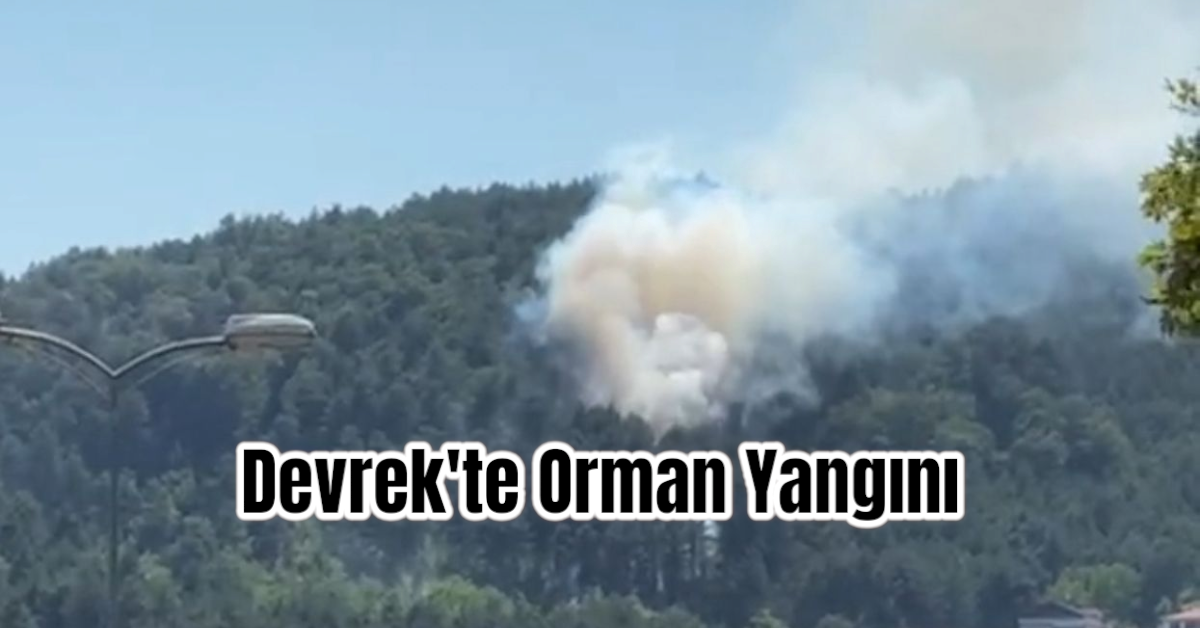 Devrek'te Orman Yangını