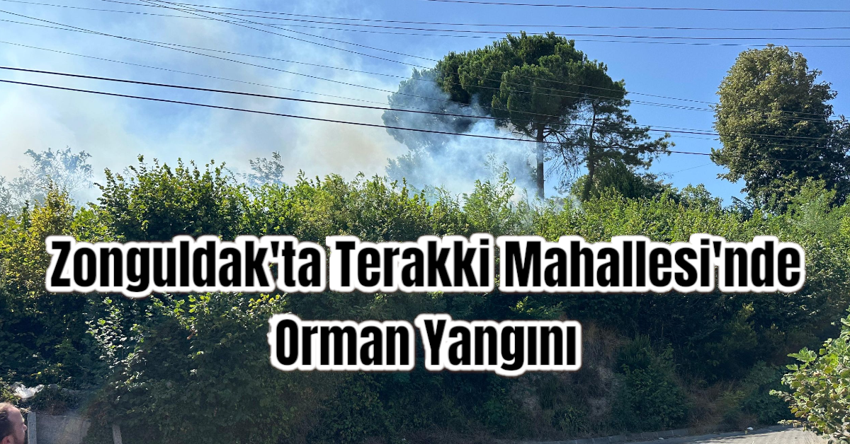 Zonguldak'ta Terakki Mahallesi'nde Orman Yangını
