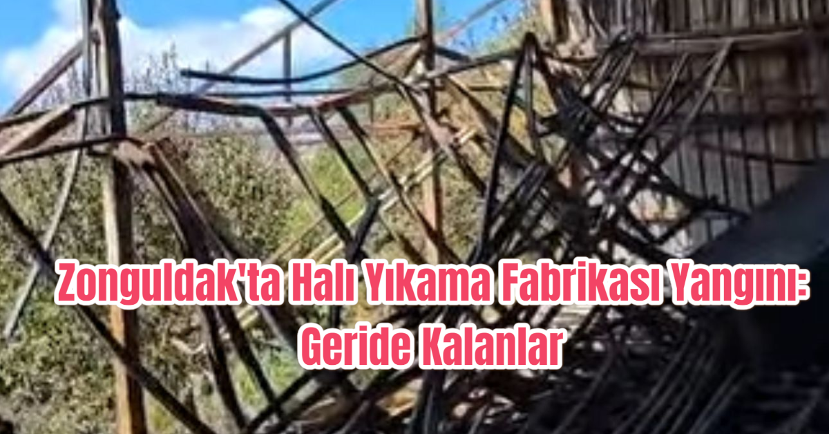 Zonguldak'ta Halı Yıkama Fabrikası Yangını: Geride Kalanlar