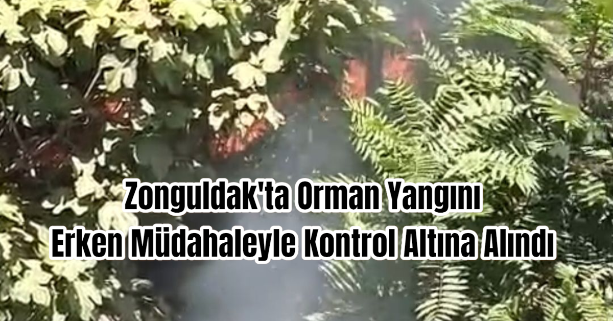 Zonguldak'ta Orman Yangını Erken Müdahaleyle Kontrol Altına Alındı