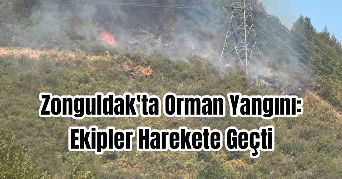 Zonguldak'ta Orman Yangını: Ekipler Harekete Geçti