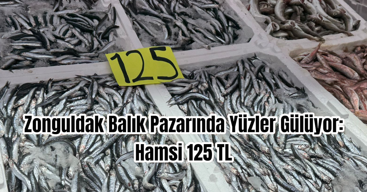 Zonguldak Balık Pazarında Yüzler Gülüyor: Hamsi 125 TL