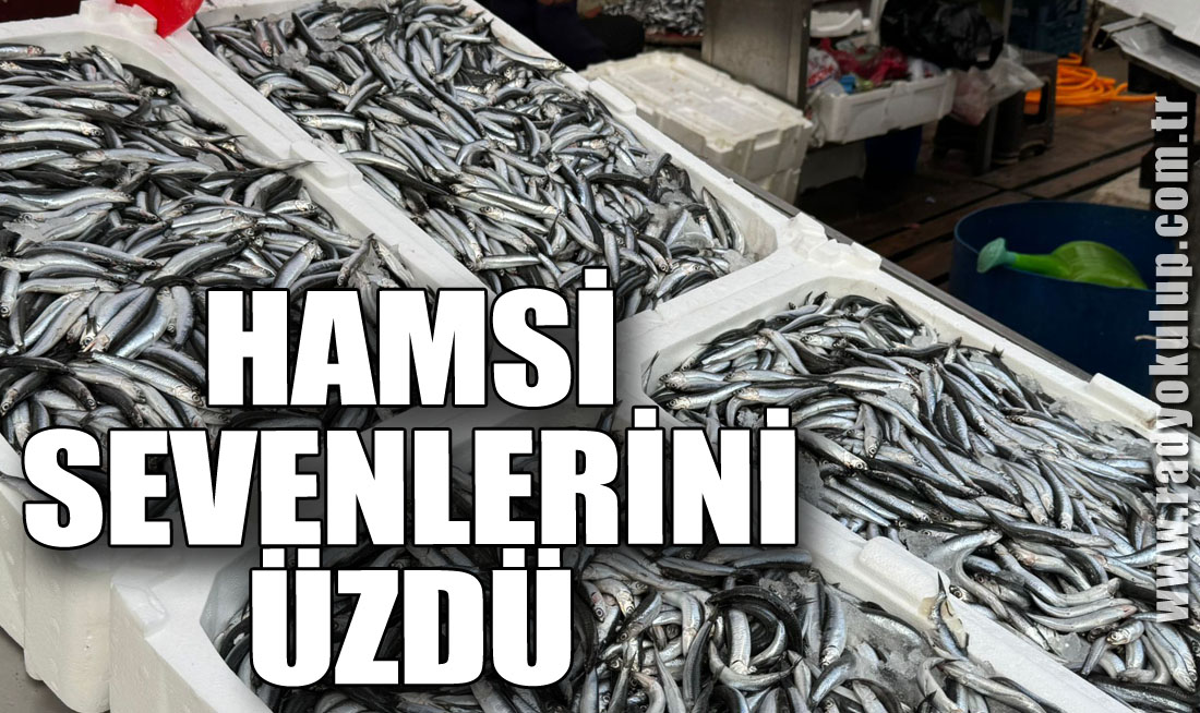 Hamsi sevenlerini üzdü