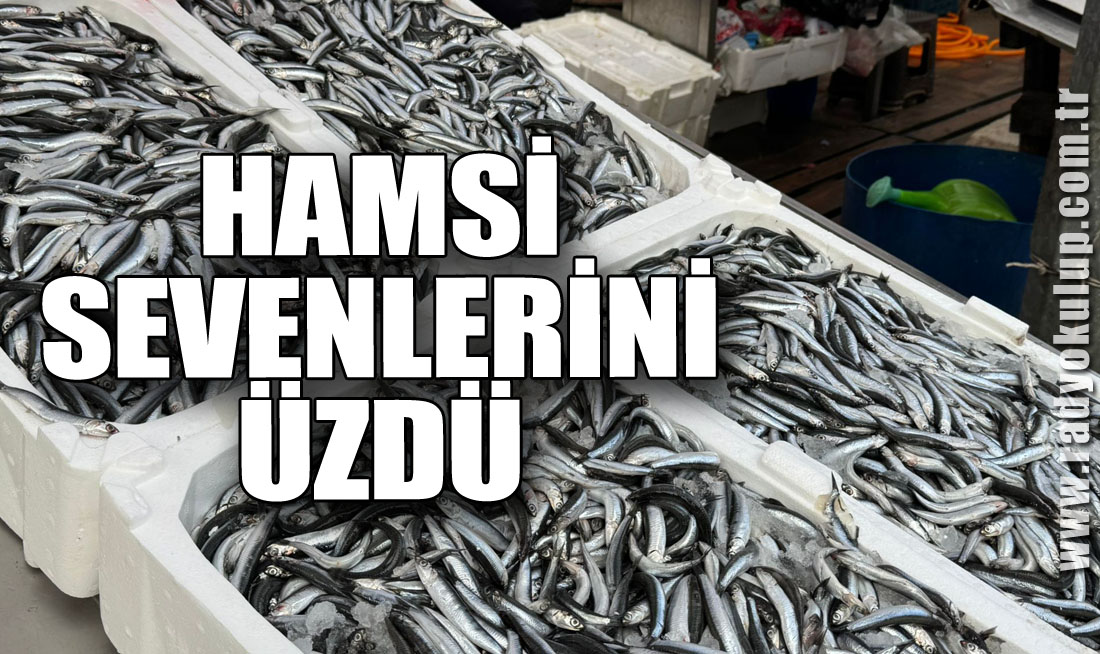 Hamsi sevenlerini üzdü