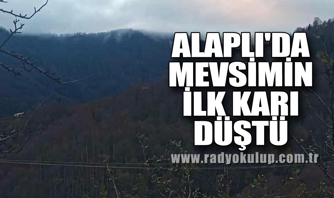 Alaplı'da Mevsimin İlk Karı düştü