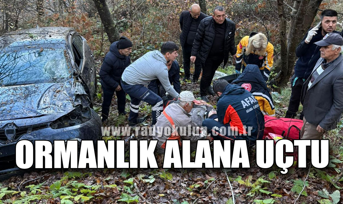 Ormanlık Alana Uçtu