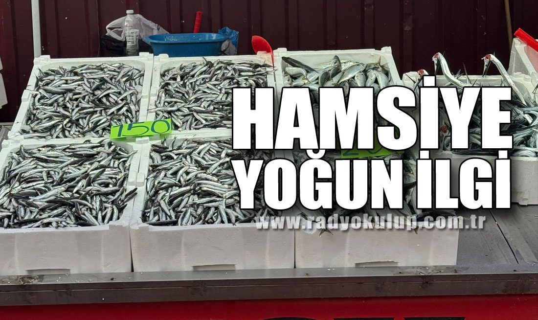Hamsiye Yoğun İlgi