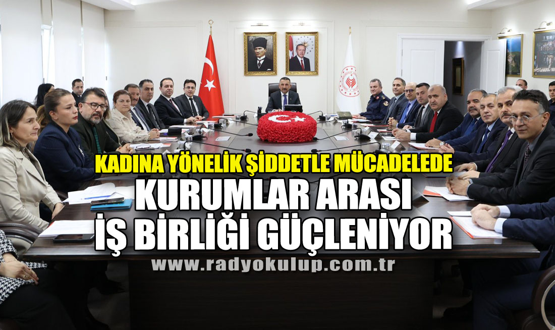 Kadına Yönelik Şiddetle Mücadelede Kurumlar Arası İş Birliği Güçleniyor