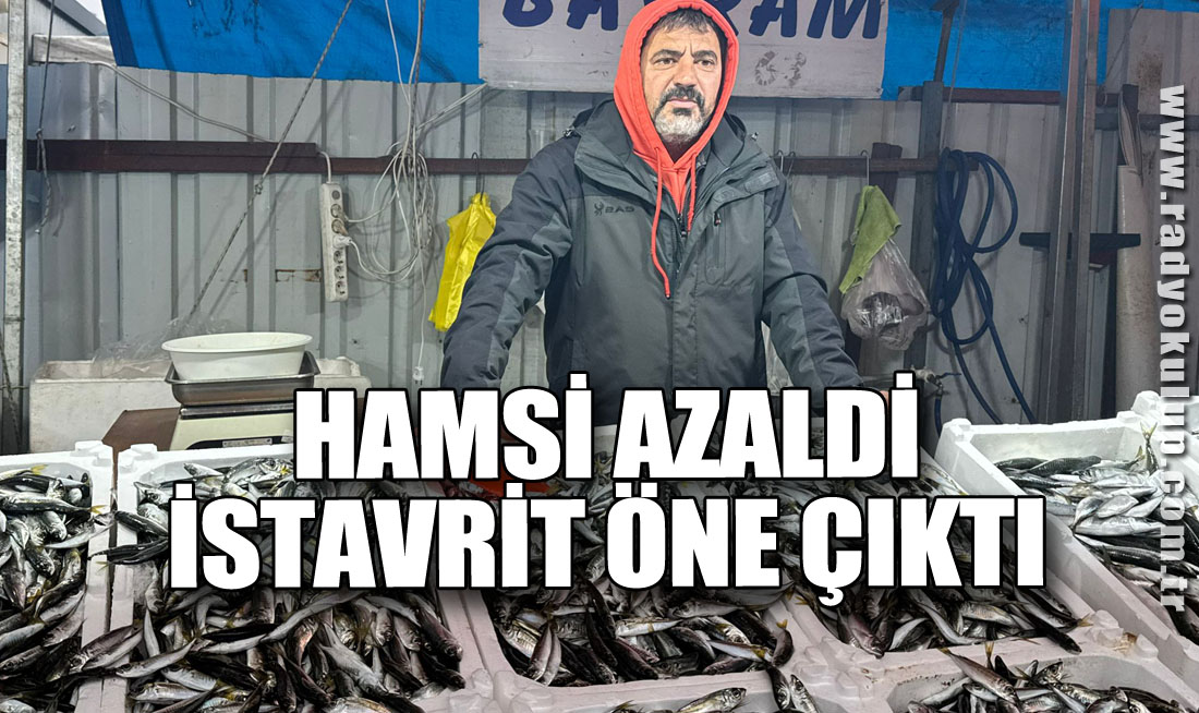Hamsi Azaldı, İstavrit Öne Çıktı
