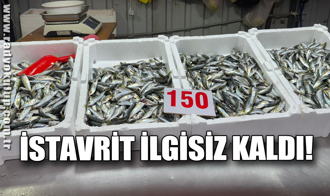 İstavrit ilgisiz kaldı!