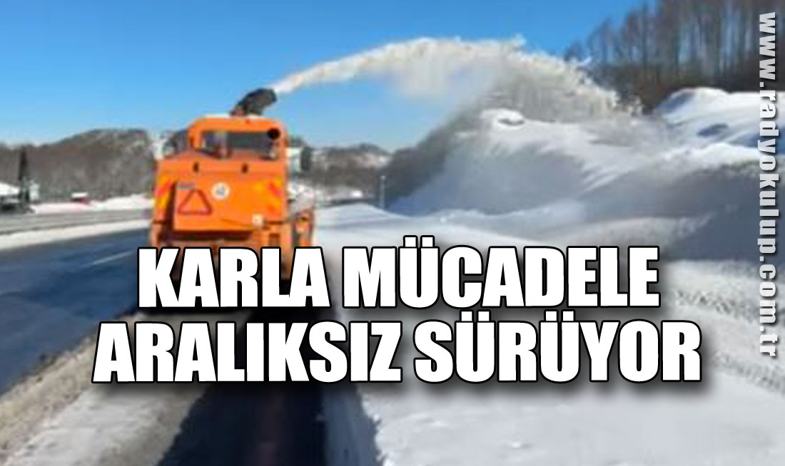 Karla Mücadele Aralıksız Sürüyor