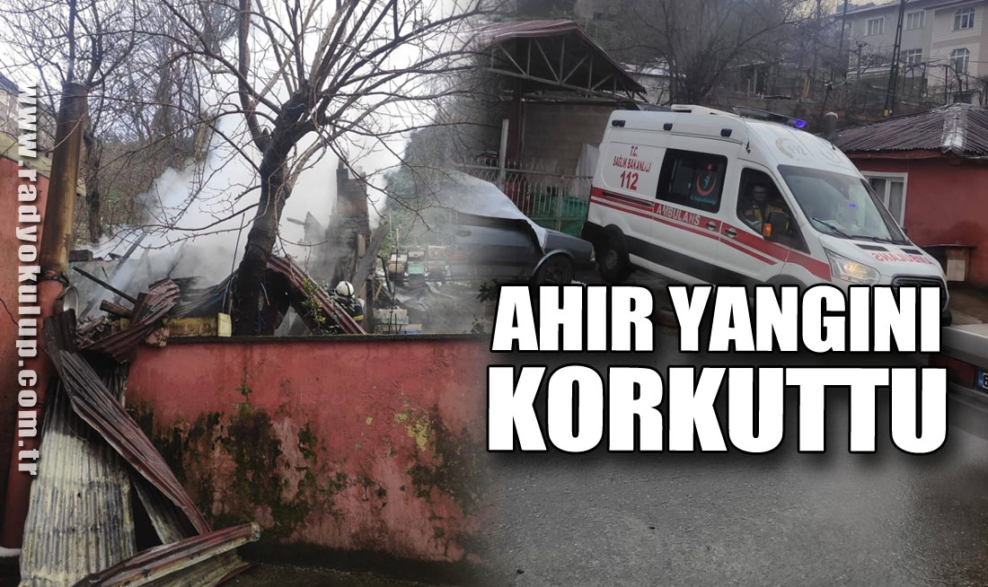 Ahır Yangını Korkuttu