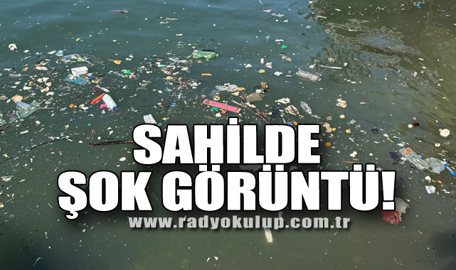 Sahilde şok görüntü!