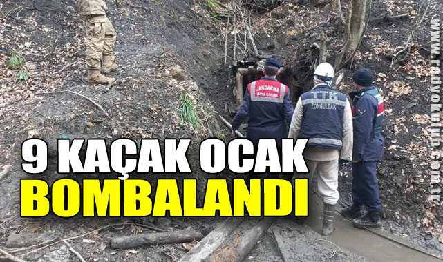 9 kaçak ocak imha edildi