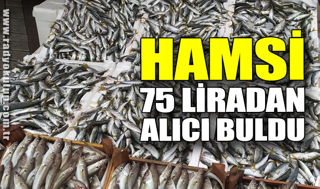 Hamsi 75 liradan alıcı buldu