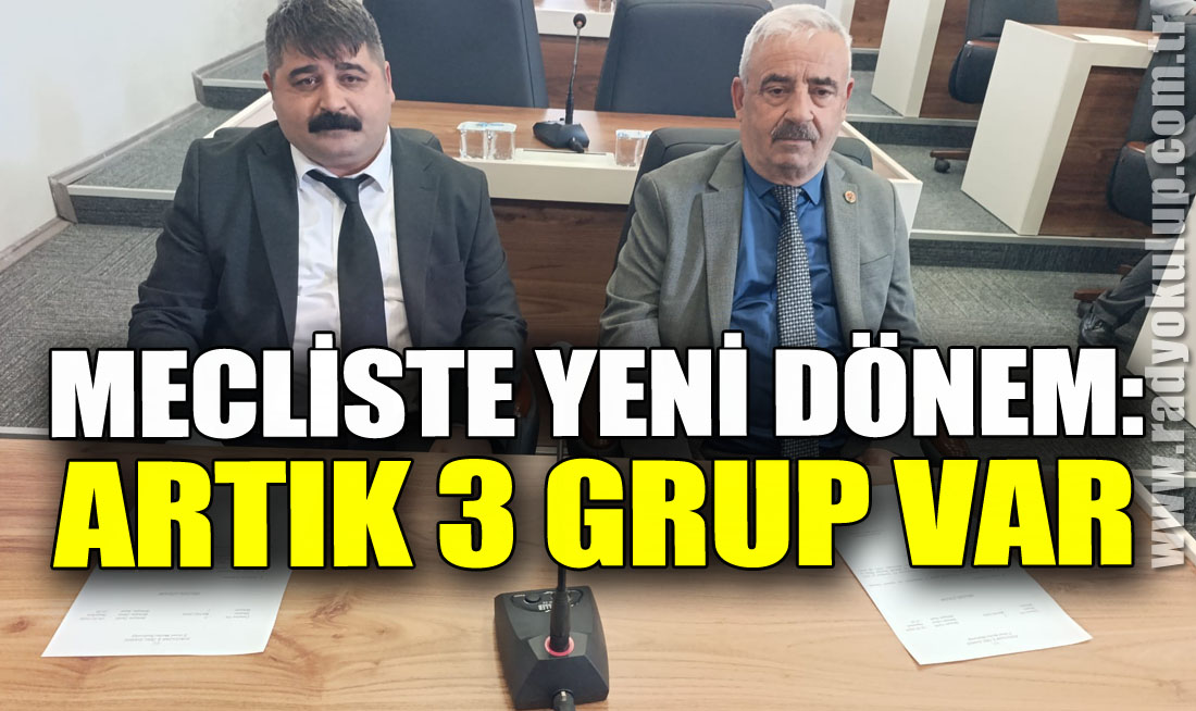 Mecliste Yeni Dönem: Artık 3 Grup Var