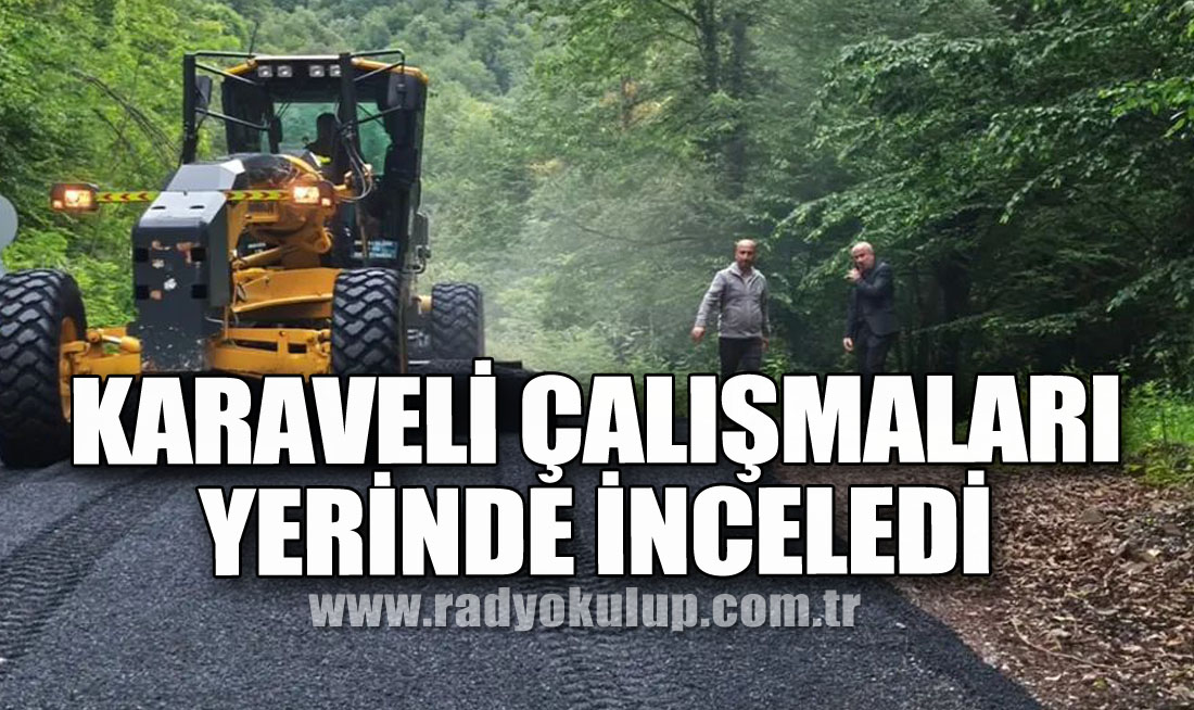 Karaveli çalışmaları yerinde inceledi 