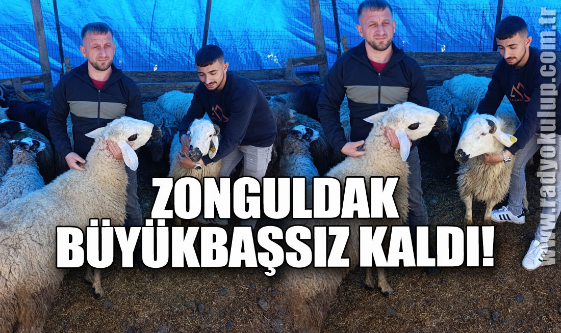 Zonguldak Büyükbaşsız Kaldı!