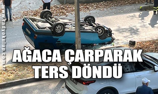 Ağaca çarparak ters döndü
