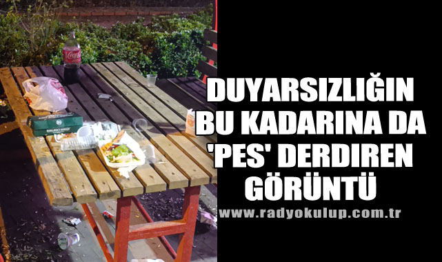 Duyarsızlığın Bu Kadarına da 'Pes' Derdiren Görüntü​
