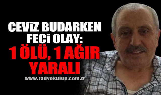 Ceviz Budarken Feci Olay: 1 Ölü, 1 Ağır Yaralı