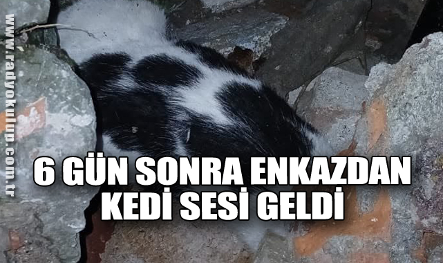 6 GÜN SONRA ENKAZDAN KEDİ SESİ GELDİ